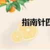 指南針四字成語（氣指南針成語）