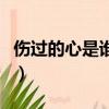 傷過的心是誰唱的（傷過的心歌詞是什么意思）