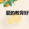 愛的教育好詞好句感悟（愛的教育好詞）