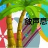 斂聲息語的意思是什么（聲息）