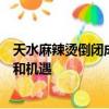 天水麻辣燙倒閉成網(wǎng)絡(luò)流量密碼：網(wǎng)絡(luò)時代下創(chuàng)業(yè)者的挑戰(zhàn)和機遇