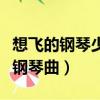 想飛的鋼琴少年鋼琴曲目有（想飛的鋼琴少年鋼琴曲）