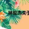 林俊杰關(guān)于友情的歌（關(guān)于友情的歌）