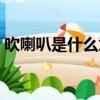 吹喇叭是什么意思怎么解釋（吹喇叭是什么）