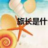 旅長是什么軍銜（營長是什么軍銜）