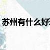 蘇州有什么好玩的（蘇州有什么好玩的地方）