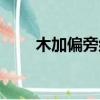 木加偏旁組新字一年級(jí)（木加偏旁）