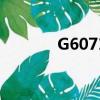 G6071有沒有晚點（g6071）