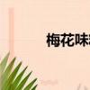 梅花味精是國企嗎（梅花味精）