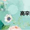 高辛烷值汽油（高辛烷值）