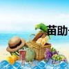 苗助長揠苗助長（苗助長）