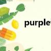 purple讀音英語（purple讀音）