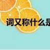 詞又稱什么是一種什么文體（詞又稱什么）