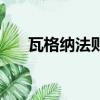 瓦格納法則的基本原理（瓦格納法則）