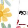 奇加偏旁組詞（奇加偏旁）