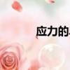 應(yīng)力的單位是啥（應(yīng)力的單位）