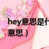 hey意思是什么意思?。ǚg解釋hey是什么意思）