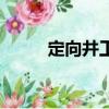 定向井工程師最新招聘（定向井）