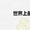 世界上最大的老鼠（最大的老鼠）