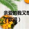 親愛的我又想你了原唱梅朵（親愛的我又想你了歌詞）