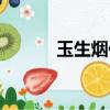 玉生煙作者小說(shuō)（玉生煙歌詞）