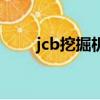 jcb挖掘機是什么牌子（jcb挖掘機）