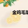 金雞毛菜的藥用價值（金雞毛菜）