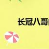 長冠八哥的圖片（長冠八哥好養(yǎng)嗎）