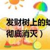 發(fā)財(cái)樹(shù)上的蚧殼蟲(chóng)怎樣徹底消滅（蚧殼蟲(chóng)怎樣徹底消滅）