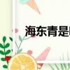 海東青是哪個民族的圖騰（海東青）