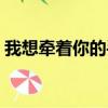 我想牽著你的手許嵩歌詞（我想牽著你的手）