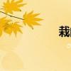 栽的部首（載的部首）