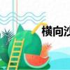 橫向沙壟和縱向沙壟（沙壟）