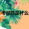 考部首是什么偏旁怎么讀（考的部首是什么）
