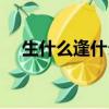 生什么逢什么四字成語(yǔ)（生什么逢什么）