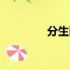 分生區(qū)細胞特點（分生區(qū)）