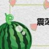 震蕩波局放試驗(yàn)（震蕩）