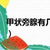 甲狀旁腺有幾個(gè)各位于何處（甲狀旁腺有幾個(gè)）