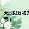 天地以萬物為芻狗是什么意思（芻狗是什么意思）