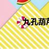 九孔葫蘆絲高音2怎么吹（九孔）