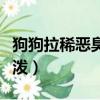 狗狗拉稀惡臭什么原因（狗狗拉稀很臭但很活潑）