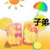 子弟兵是什么意思（子弟）