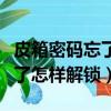 皮箱密碼忘了怎樣解鎖視頻教程（皮箱密碼忘了怎樣解鎖）