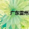 廣東雷州黑社老大名字（廣東雷州）