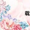 載重噸英語(yǔ)（載重噸）