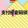 支付寶密碼鎖了（支付寶密碼被鎖定怎么辦）