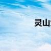 靈山大粽?qǐng)D片（靈山大粽）