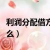 利潤(rùn)分配借方是盈利嗎（利潤(rùn)分配借方代表什么）
