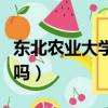 東北農(nóng)業(yè)大學(xué)好嗎值得上嗎（東北農(nóng)業(yè)大學(xué)好嗎）