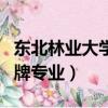 東北林業(yè)大學(xué)王牌專業(yè)介紹（東北林業(yè)大學(xué)王牌專業(yè)）
